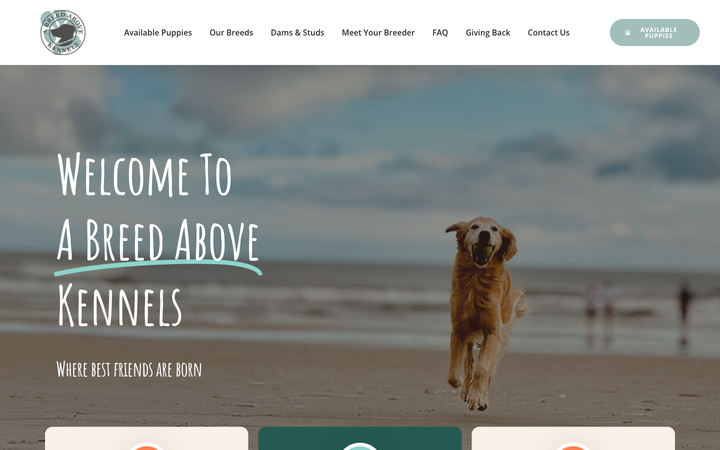 A Breed Above Kennels website screenshot